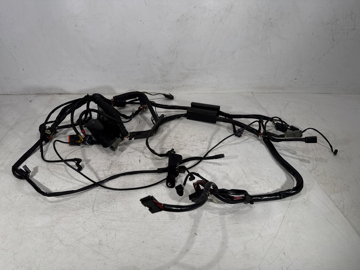 01 Harley Heritage Softail Classic FLSTC OEM Main Wire Wiring Harness Loom CARB
