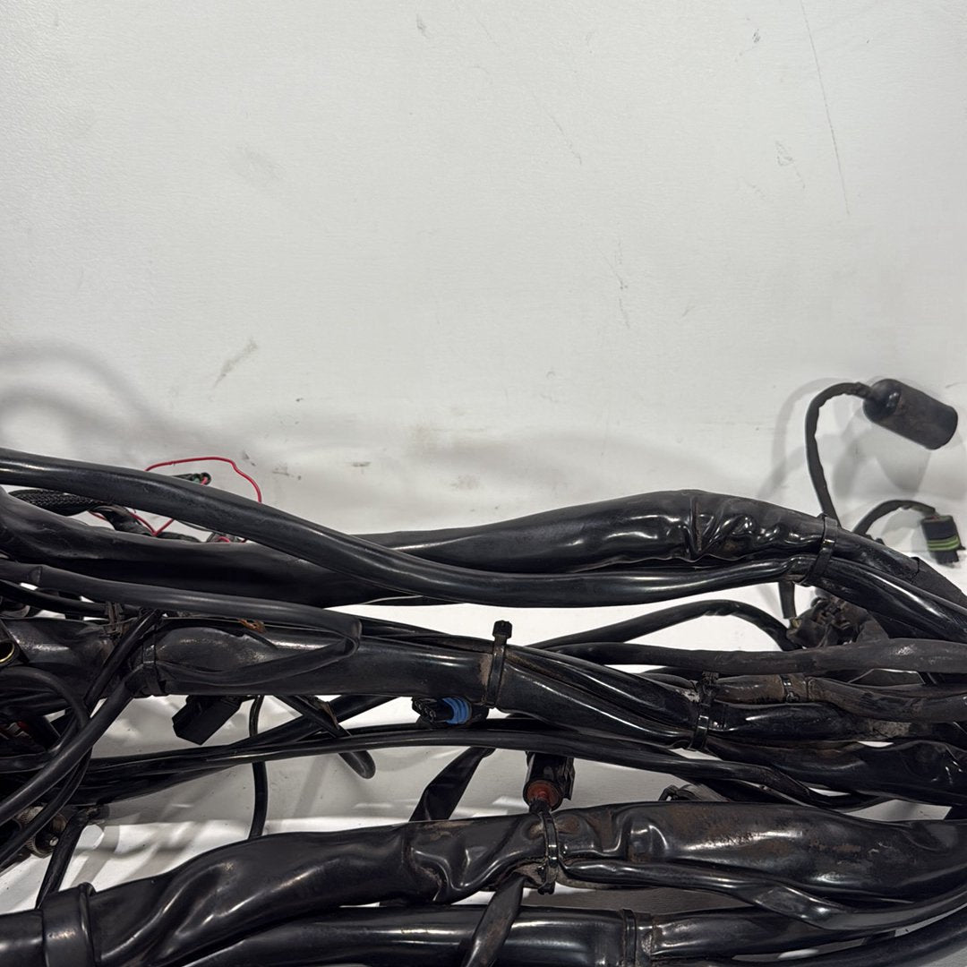 1999 - 2006 Harley-Davidson Touring Electra Glide Ultra Main Wire Wiring Harness Loom 70985-05