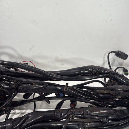 1999 - 2006 Harley-Davidson Touring Electra Glide Ultra Main Wire Wiring Harness Loom 70985-05