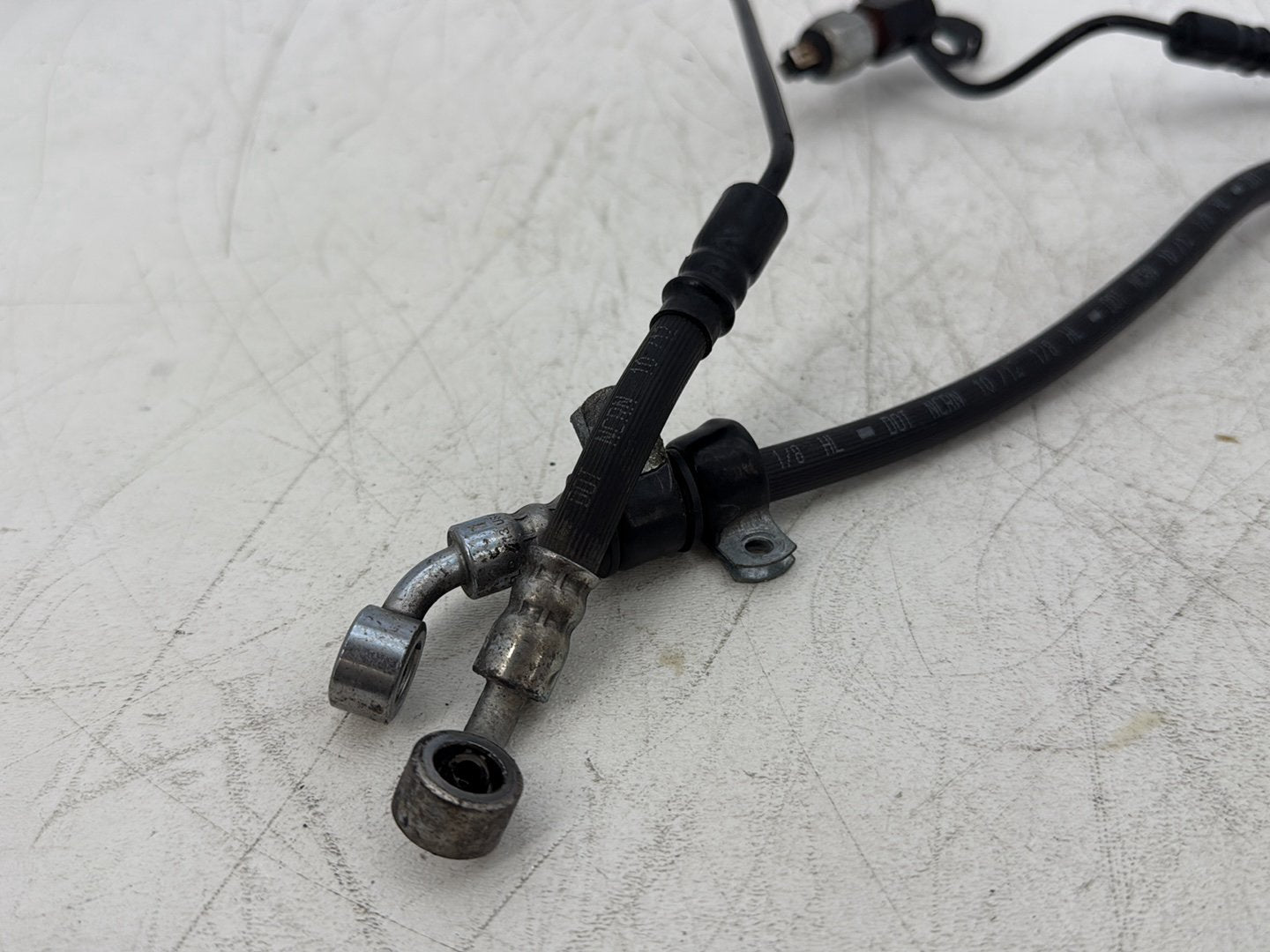 2013 Harley Forty-Eight Sportster 1200X OEM Rear Brake Hose Line Pipe
