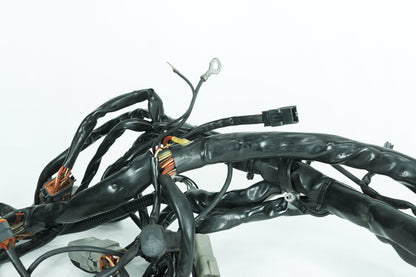 1999 - 2006 Harley-Davidson Touring Electra Glide Classic Main Wire Wiring Harness Loom  	70985-03