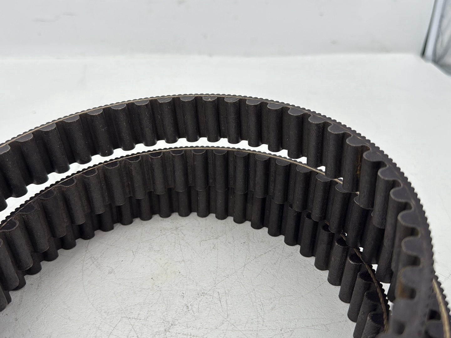 2006 Harley Sportster XL883C 883 Custom OEM Rear Drive Belt