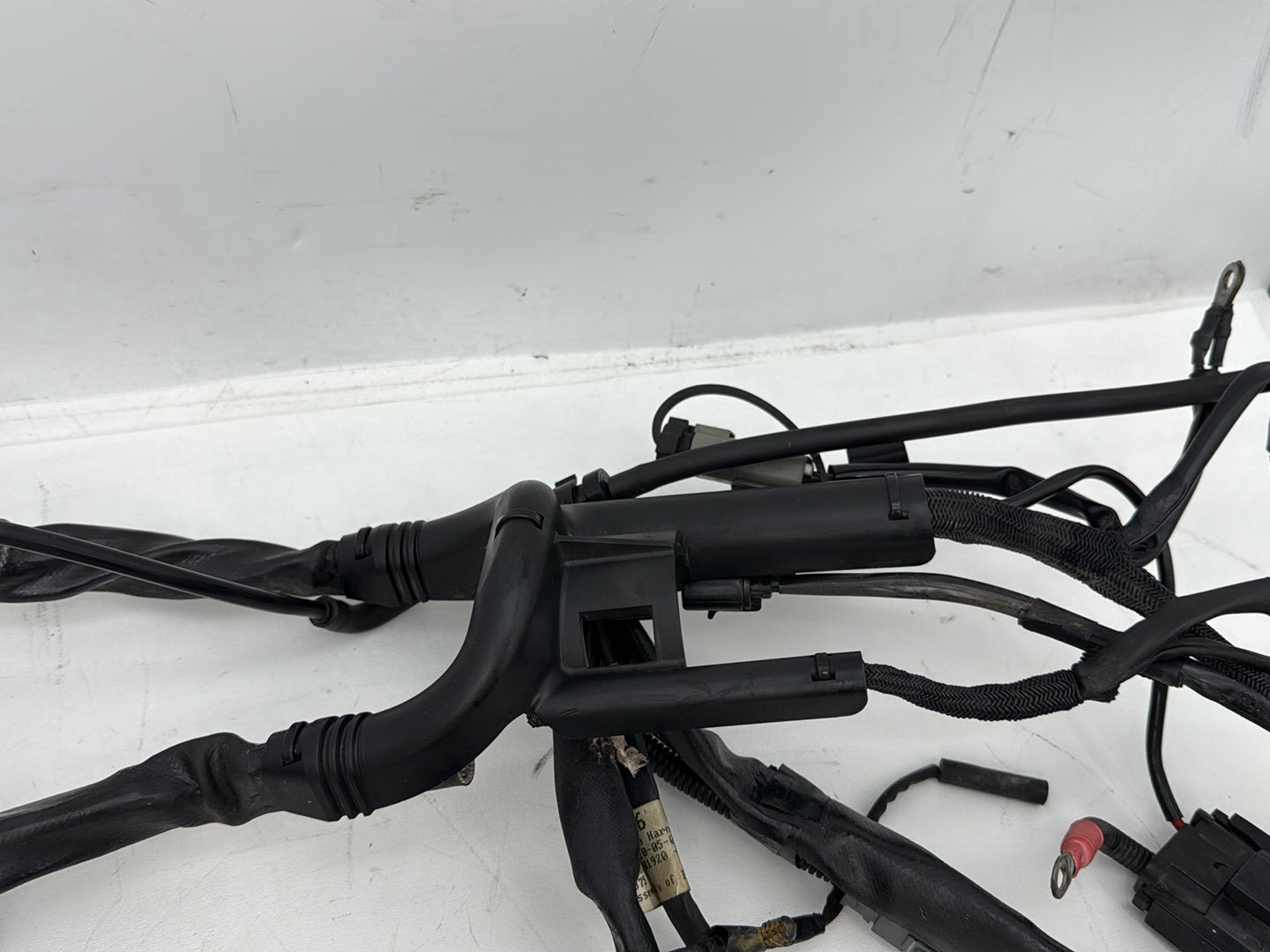 2006 Harley Sportster XL883C 883 Custom OEM Main Wire Wiring Harness Ignition Switch NOKey