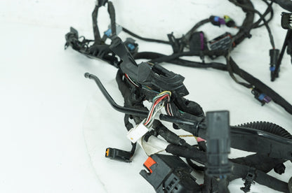 2018 - 2026 Harley-Davidson Softail Low Rider S Main Wire Wiring Harness Loom ABS 69201492