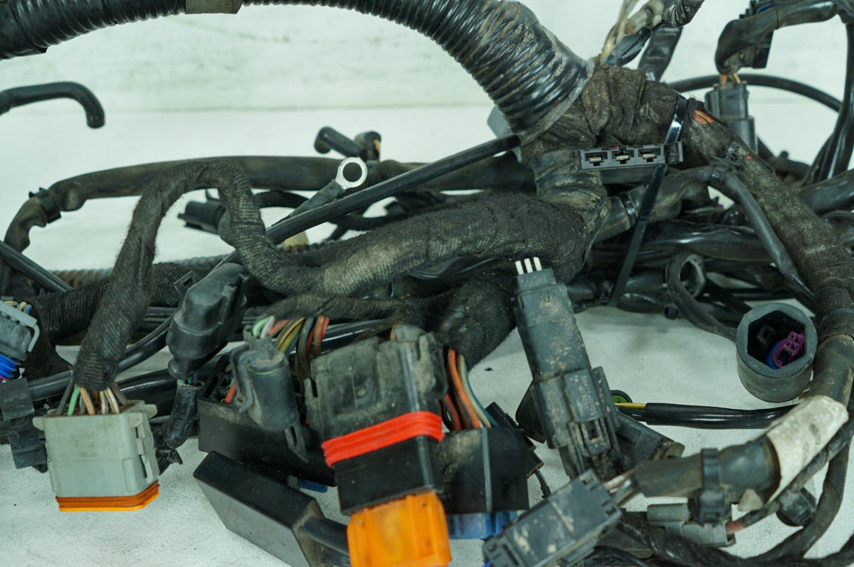 2008 Harley Dyna FXDL Low Rider OEM Main Wire Wiring Harness Loom