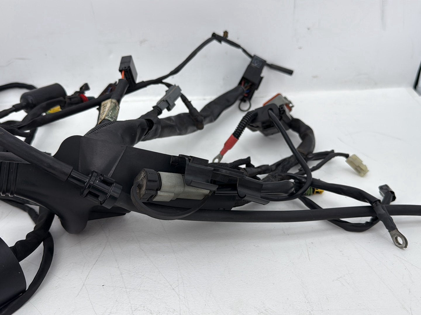 2006 Harley Sportster XL883C 883 Custom OEM Main Wire Wiring Harness Ignition Switch NOKey