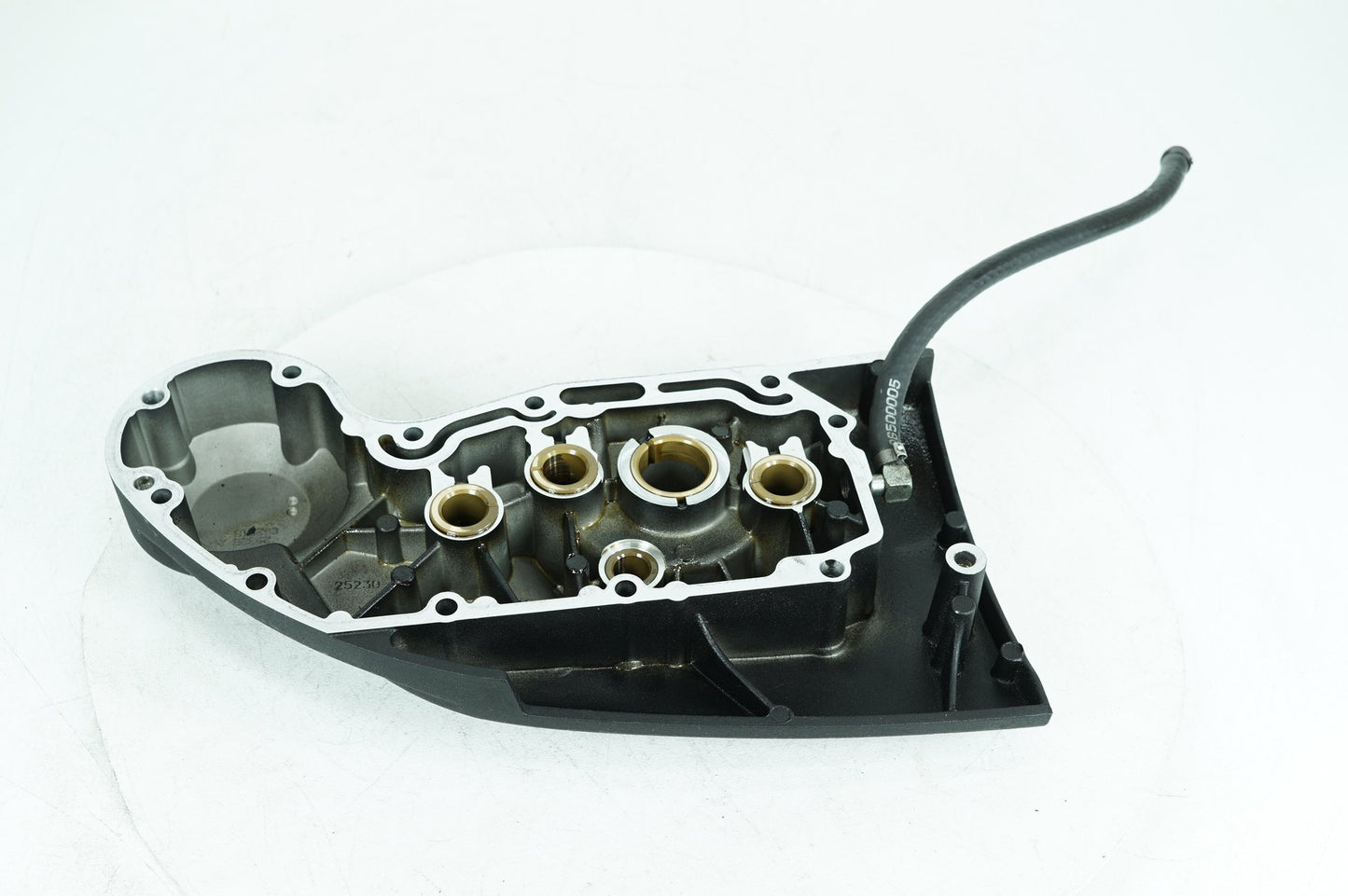 2013 - 2022 Harley-Davidson Sportster Iron Engine Motor Timing Chain Cover 25230-04