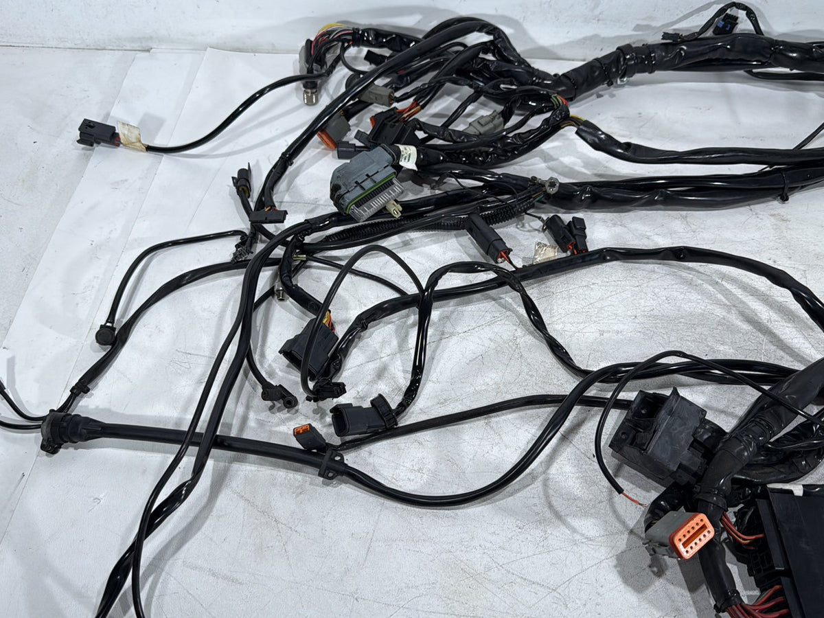 2003 Harley Electra Glide Touring Ultra OEM Main Wire Wiring Harness Loom