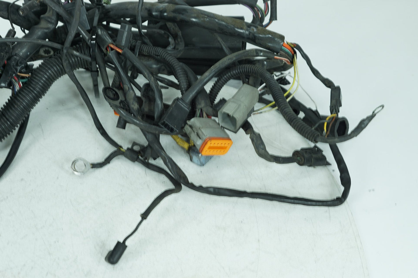 2000 - 2006 Harley-Davidson Softail Deuce Main Wire Wiring Harness Loom 70216-01