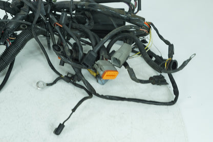 2000 - 2006 Harley-Davidson Softail Deuce Main Wire Wiring Harness Loom 70216-01