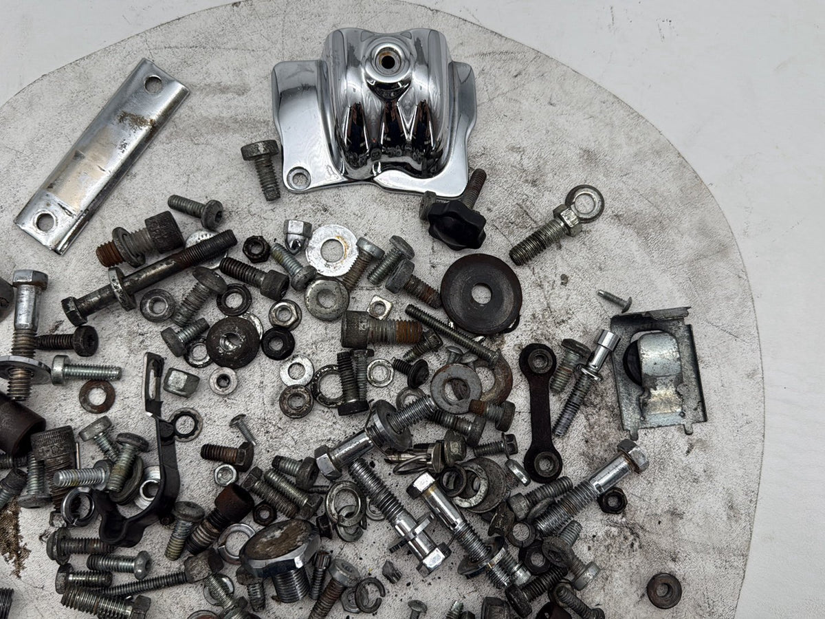 2005 Harley Electra Glide Touring CVO Eagle OEM Hardware Bolts Nuts & Brackets