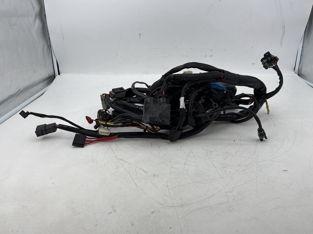 2002 Harley Touring CVO Screamin Eagle Road King Main Wire Wiring Harness Loom