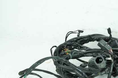 1999 - 2006 Harley-Davidson Touring Electra Glide Ultra Main Wire Wiring Harness Loom 70985-03