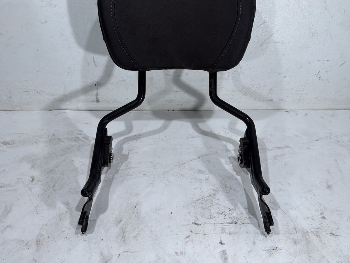 2022 Harley Road King Touring FLHR OEM Rear Sissy Bar w/ Backrest Cushion Pad