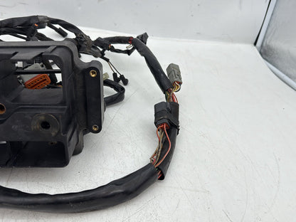 2005 Harley Dyna FXDWG Wide Glide OEM Main Wire Wiring Harness Loom