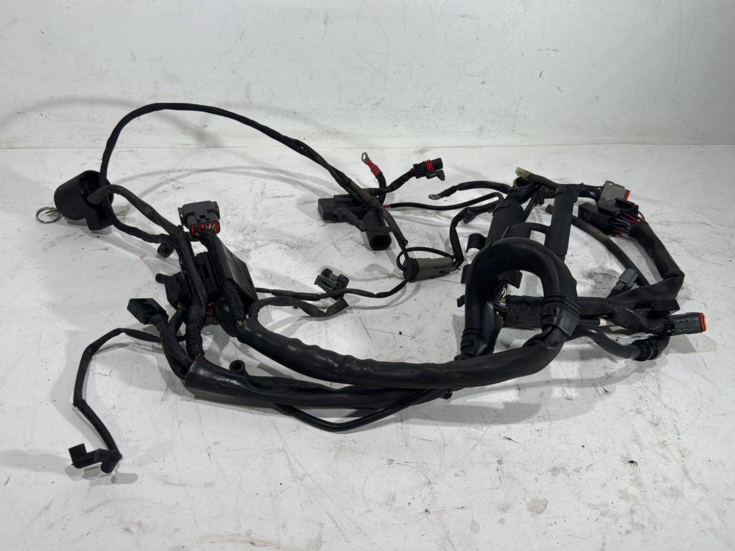 2006 Harley Sportster 1200 Custom XL1200C OEM Main Wire Wiring Harness Ignition Switch & Key