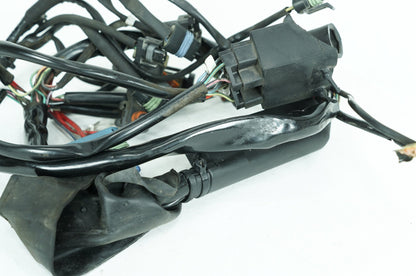 1999 - 2006 Harley-Davidson Touring Electra Glide Ultra Main Wire Wiring Harness Loom 70985-00