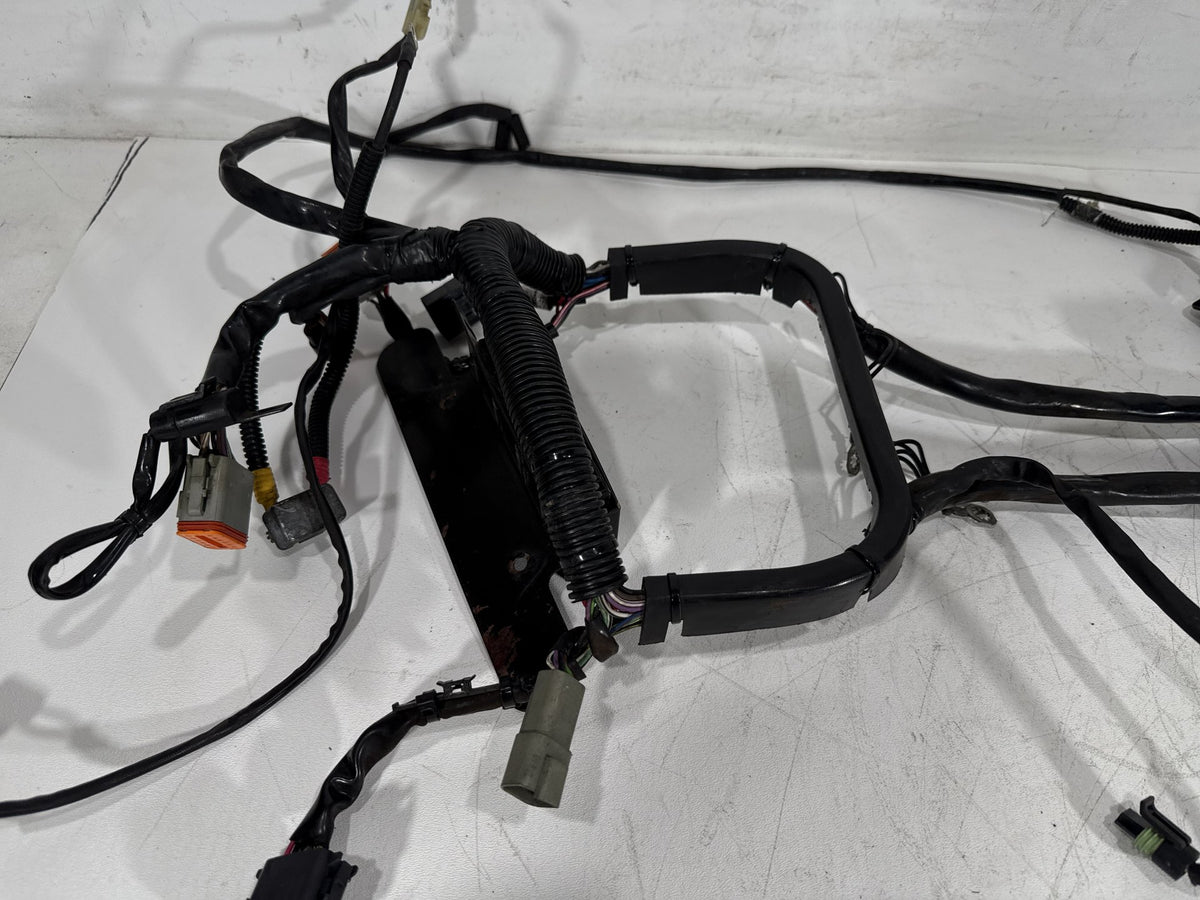 2001 Harley Softail Standard FXST OEM Main Wire Wiring Harness Loom CARB