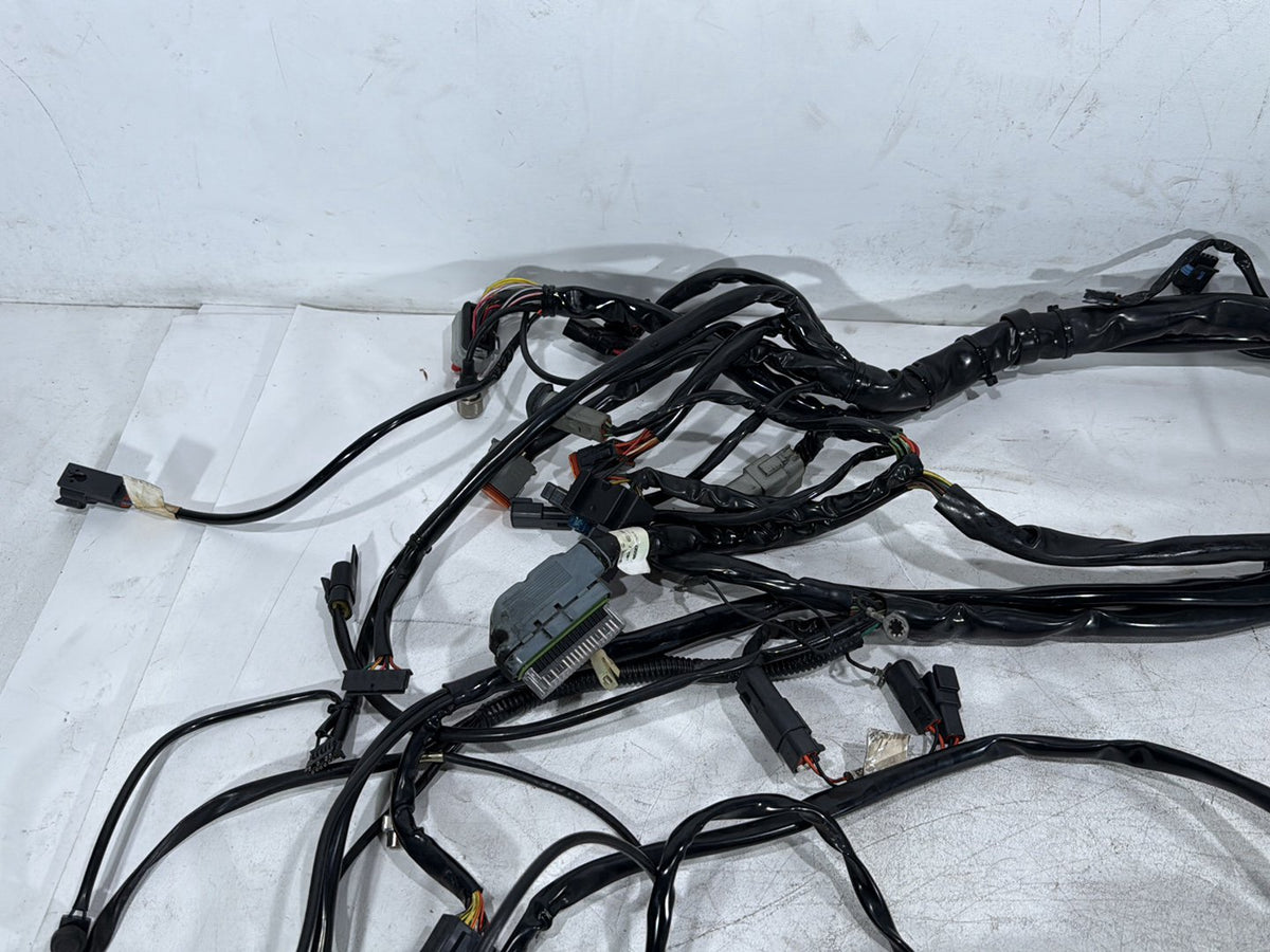 2003 Harley Electra Glide Touring Ultra OEM Main Wire Wiring Harness Loom