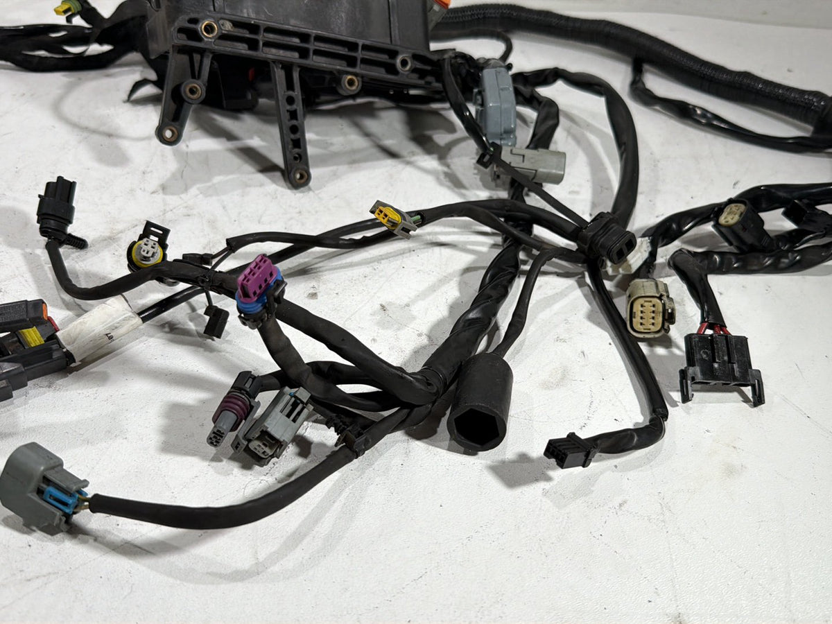 2007 Harley Dyna Street Bob FXDBI OEM Main Wire Wiring Harness Loom