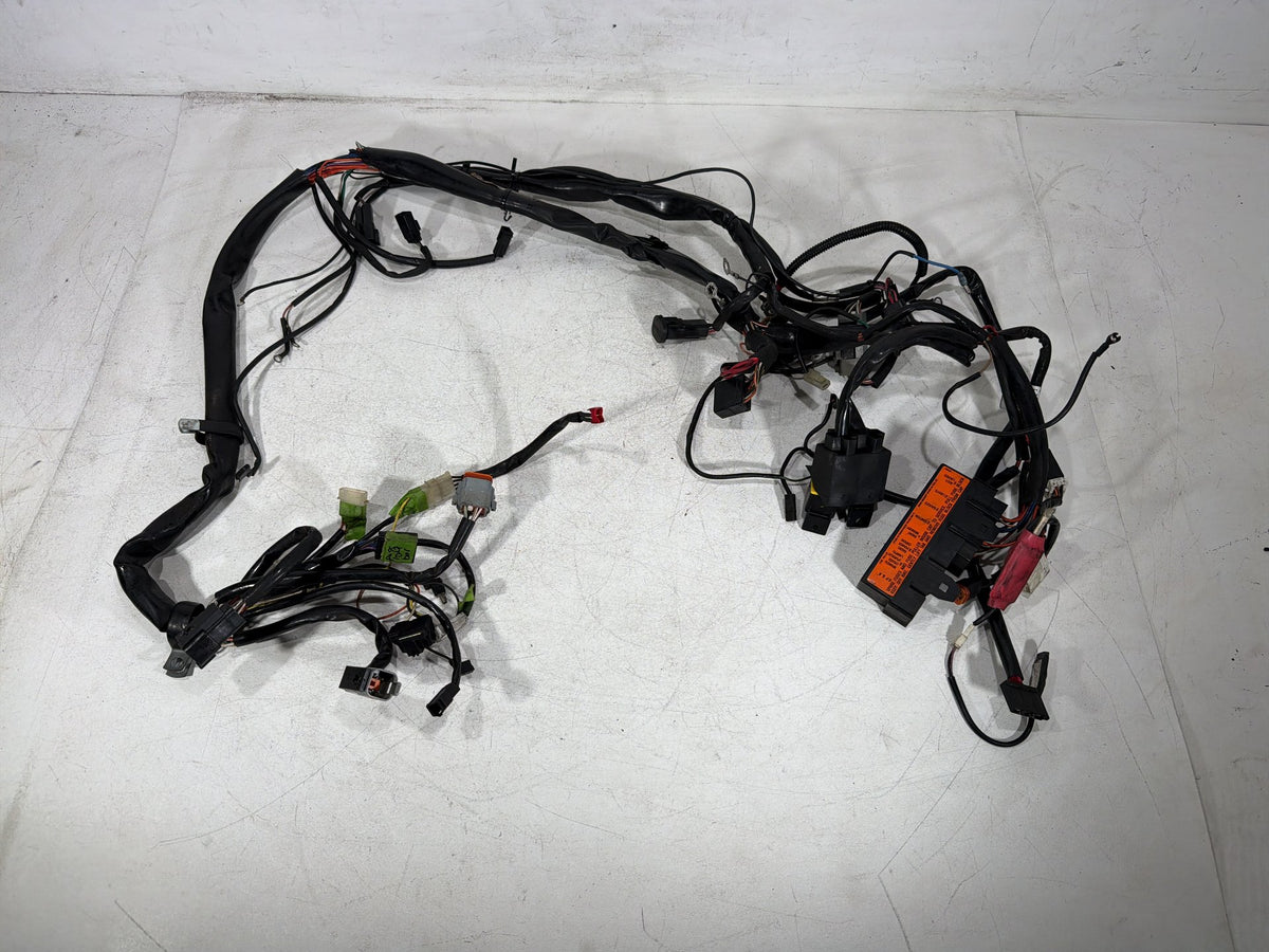 1997 Harley Road King Touring FLHR OEM Main Wire Wiring Harness Loom CARB
