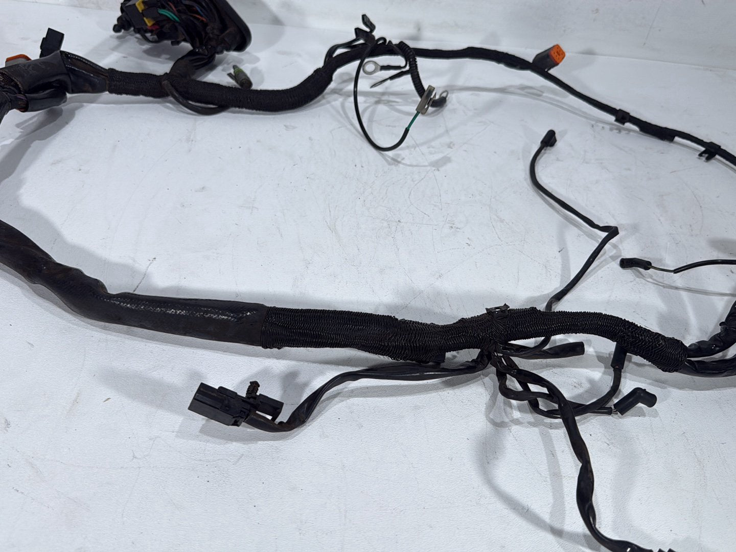 01 Harley Sportster 883 XLH883 OEM Headlight Headlamp Halogen w/ Main Wire CARB