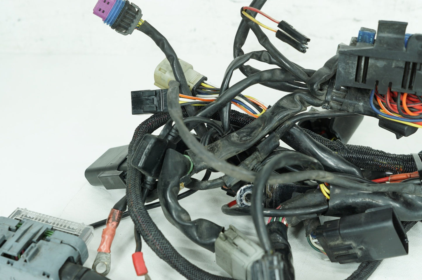 2004 - 2022 Harley-Davidson Sportster 883 Main Wire Wiring Harness Loom 70181-07