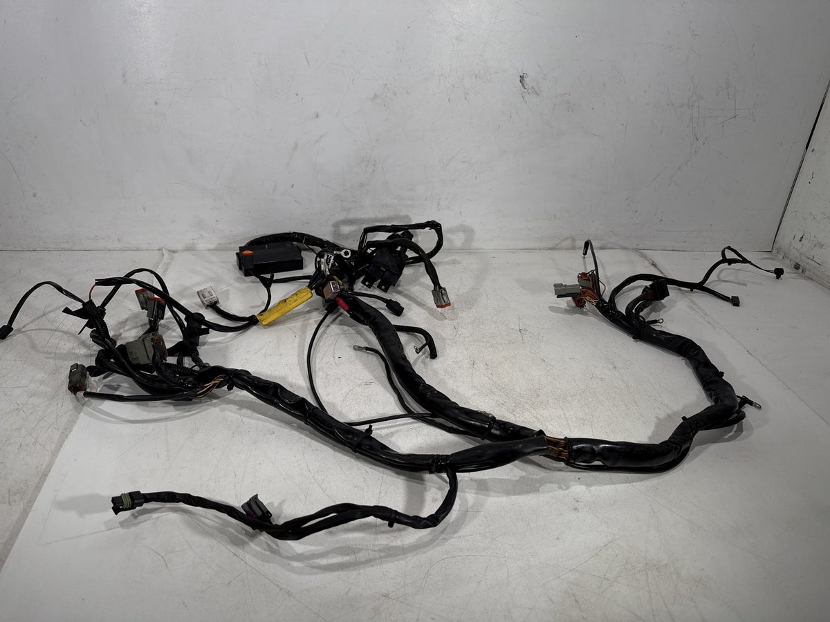 2002 Harley Electra Glide Touring Classic OEM Main Wire Wiring Harness Loom CARB
