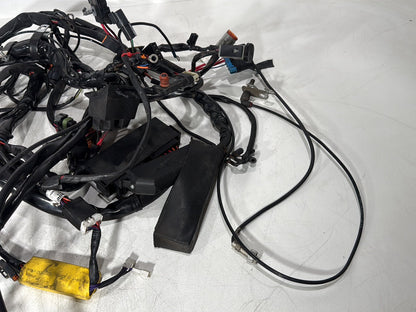 1999 - 2006 Harley-Davidson Touring Electra Glide Classic Main Wire Wiring Harness Loom  	70985-00