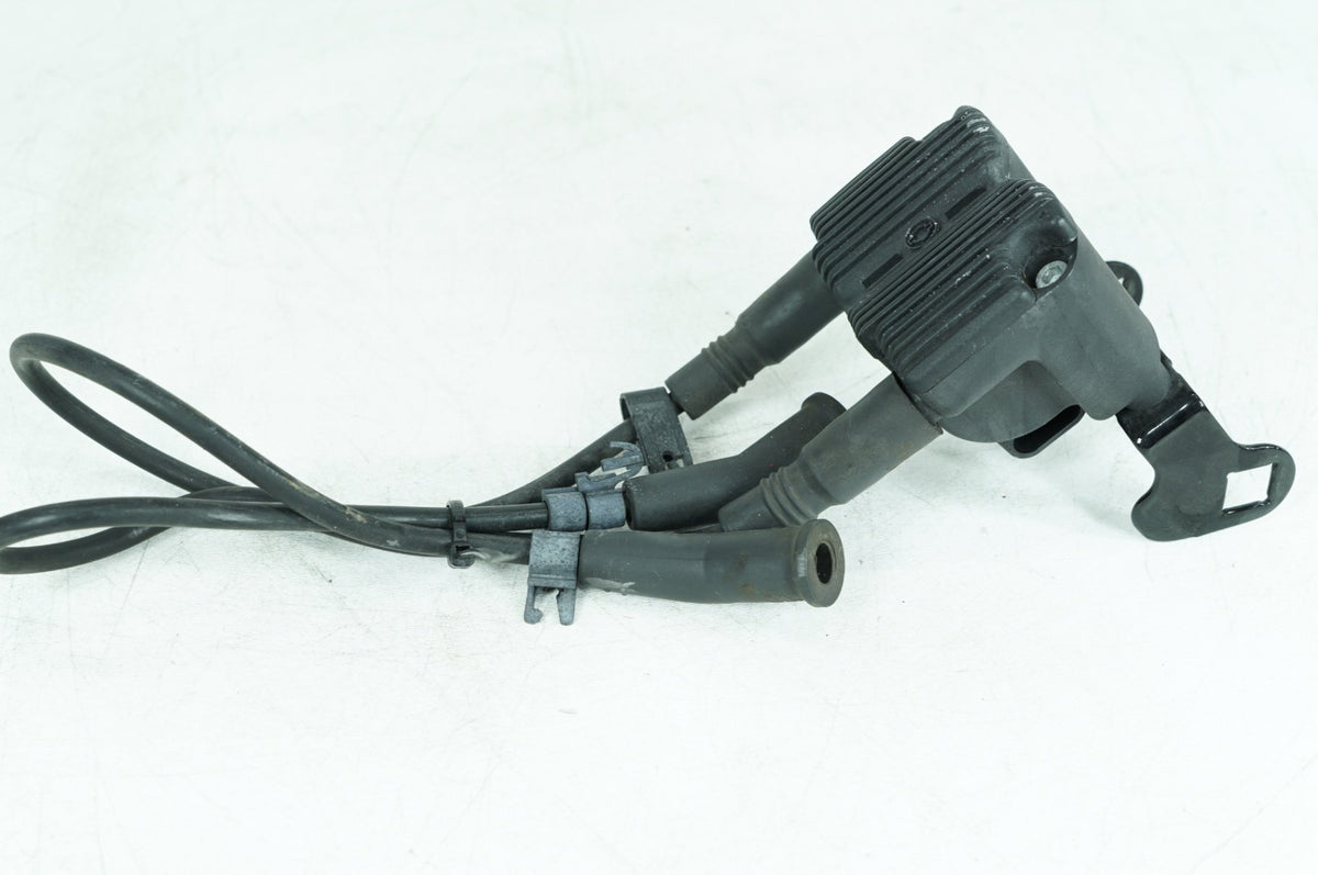 1999 - 2006 Harley-Davidson Touring Electra Glide Classic Ignition Coil Spark Plugs Cable 31743-01