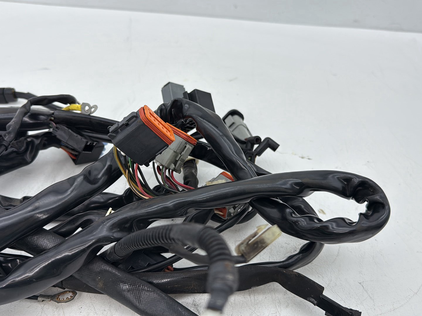 2002 Harley Dyna FXD Super Glide OEM Main Wire Wiring Harness Loom