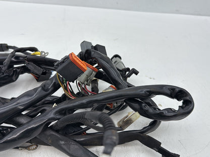 2002 Harley Dyna FXD Super Glide OEM Main Wire Wiring Harness Loom
