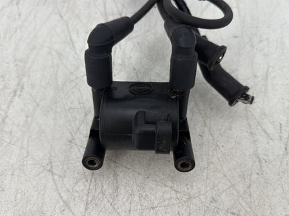2015 Harley Road Glide Touring FLTRXS OEM Ignition Coil Spark Plugs Cable