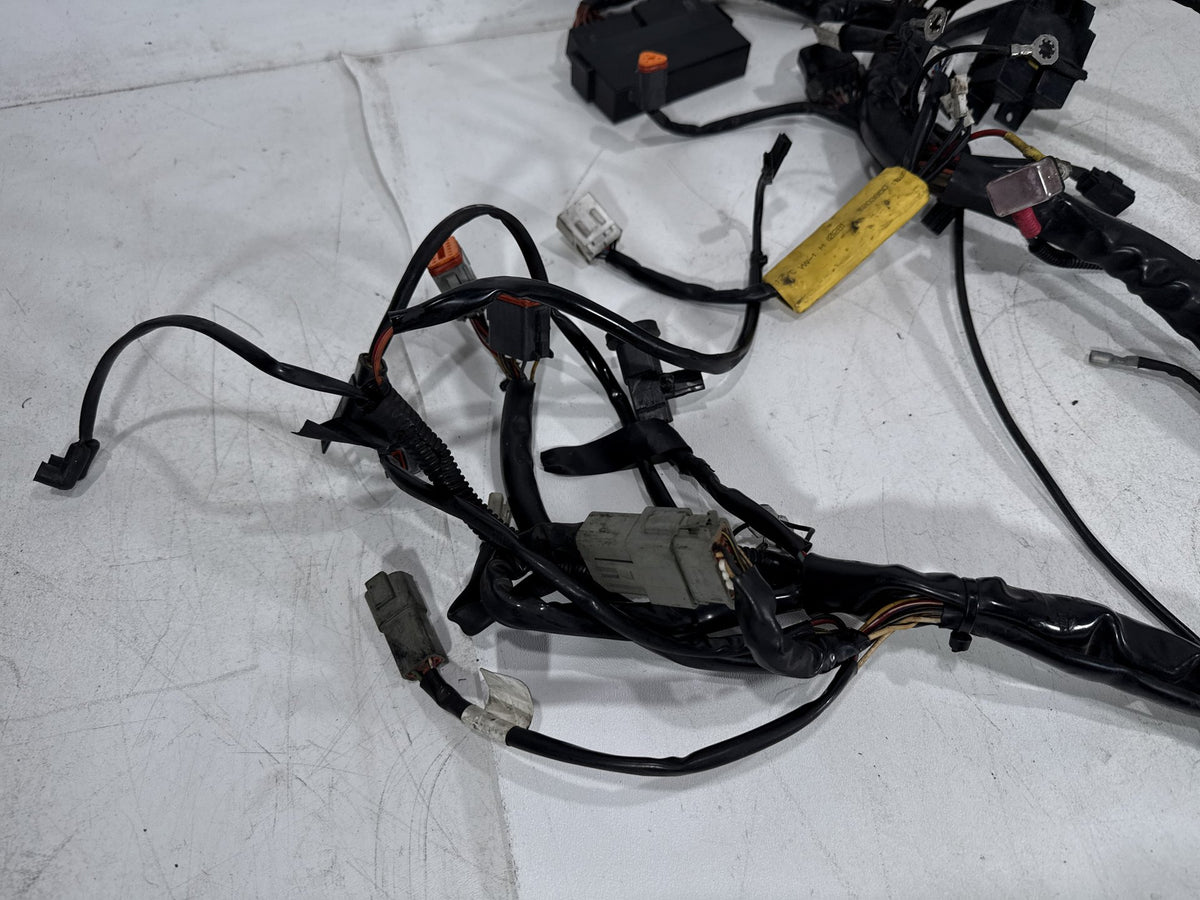 2002 Harley Electra Glide Touring Classic OEM Main Wire Wiring Harness Loom CARB
