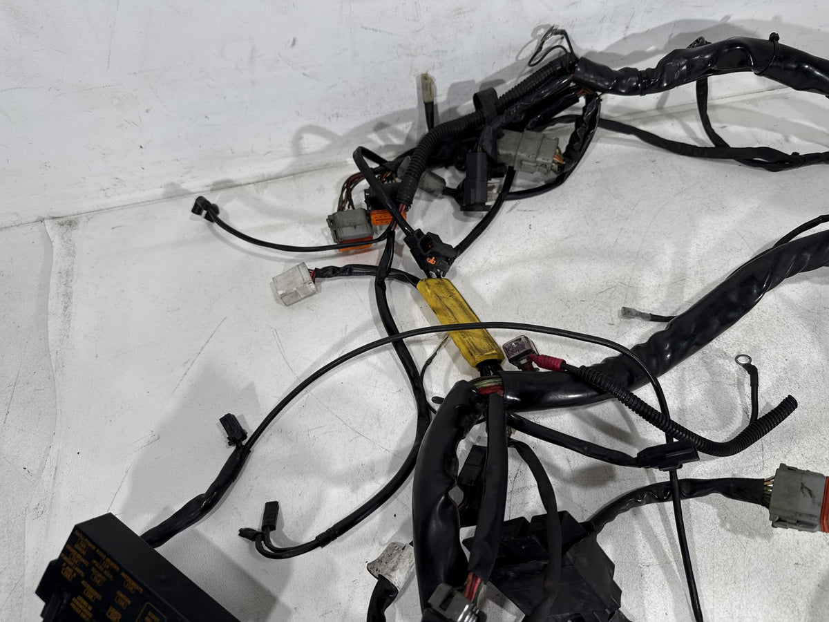 2002 Harley Electra Glide Touring Classic OEM Main Wire Wiring Harness Loom CARB