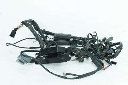 1999 - 2006 Harley-Davidson Softail Heritage Main Wire Wiring Harness Loom 70216-04A