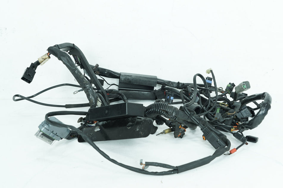 04 Harley Softail FLSTC Heritage OEM EFI Main Wire Wiring Harness Loom 70216-04A