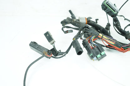 Harley-Davidson Misc  Main Wire Wiring Harness Loom