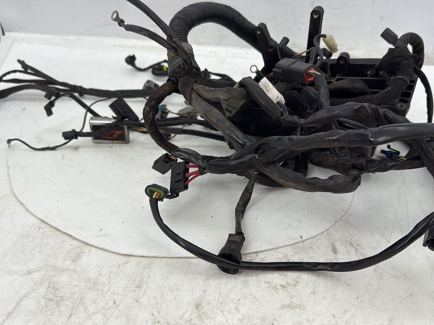 2006 Harley Dyna Super Glide Custom FXDCI OEM Main Wire Wiring Harness Loom