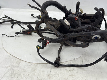 2006 Harley Dyna Super Glide Custom FXDCI OEM Main Wire Wiring Harness Loom