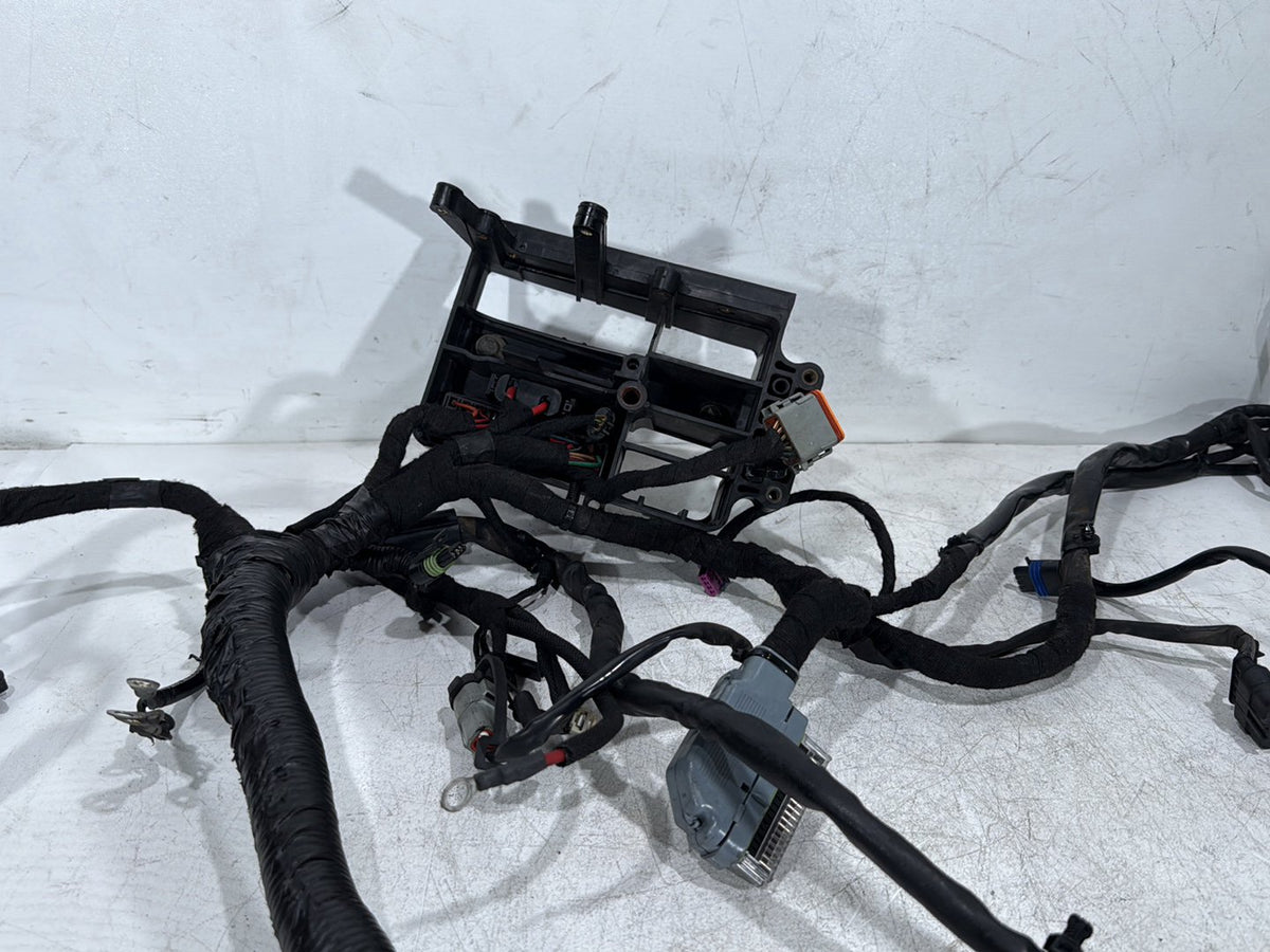 2009 Harley Dyna Street Bob FXDB OEM Main Wire Wiring Harness Loom