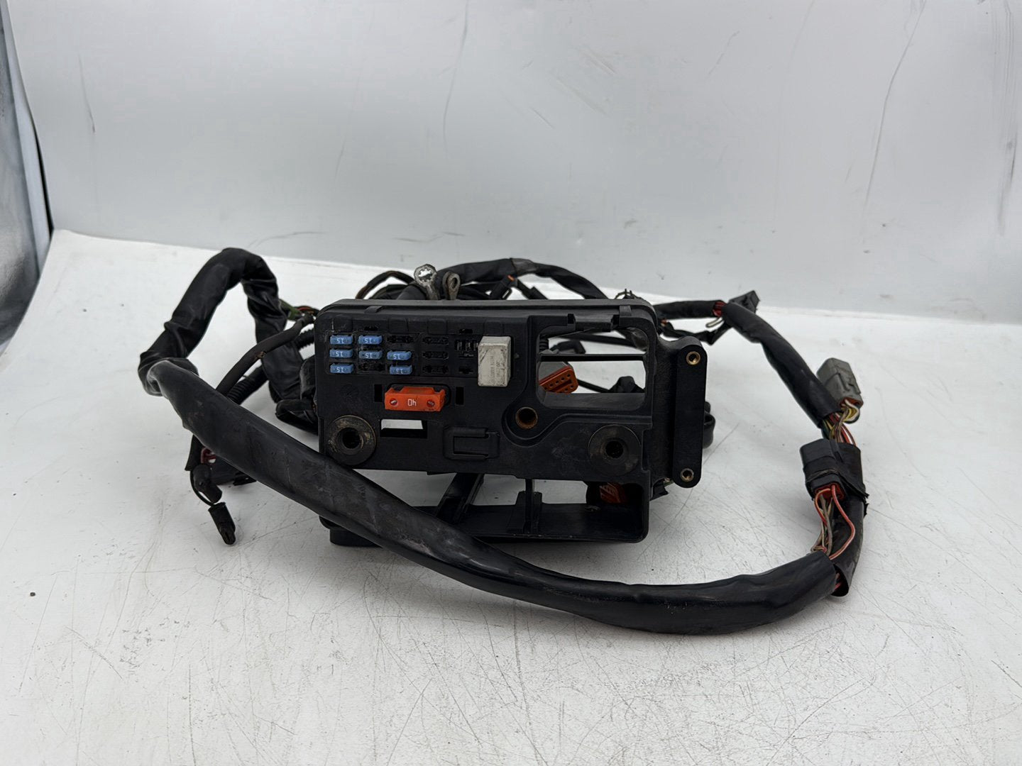 2005 Harley Dyna FXDWG Wide Glide OEM Main Wire Wiring Harness Loom