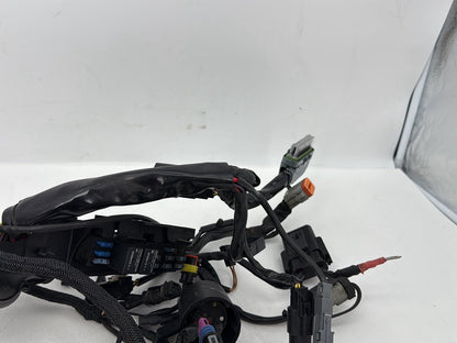 2004 - 2013 Harley-Davidson Sportster 883 Custom Main Wire Wiring Harness Ignition Switch NOKey  	70181-07