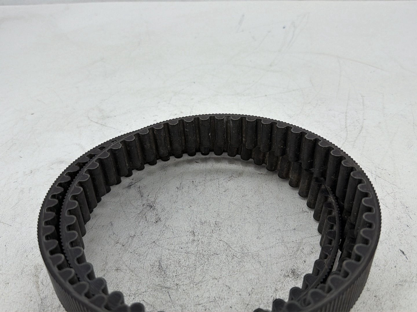 2006 Harley Sportster 1200 Custom XL1200C OEM Rear Drive Belt