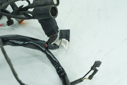 2004 - 2013 Harley-Davidson Sportster Low Main Wire Wiring Harness Loom 69200317