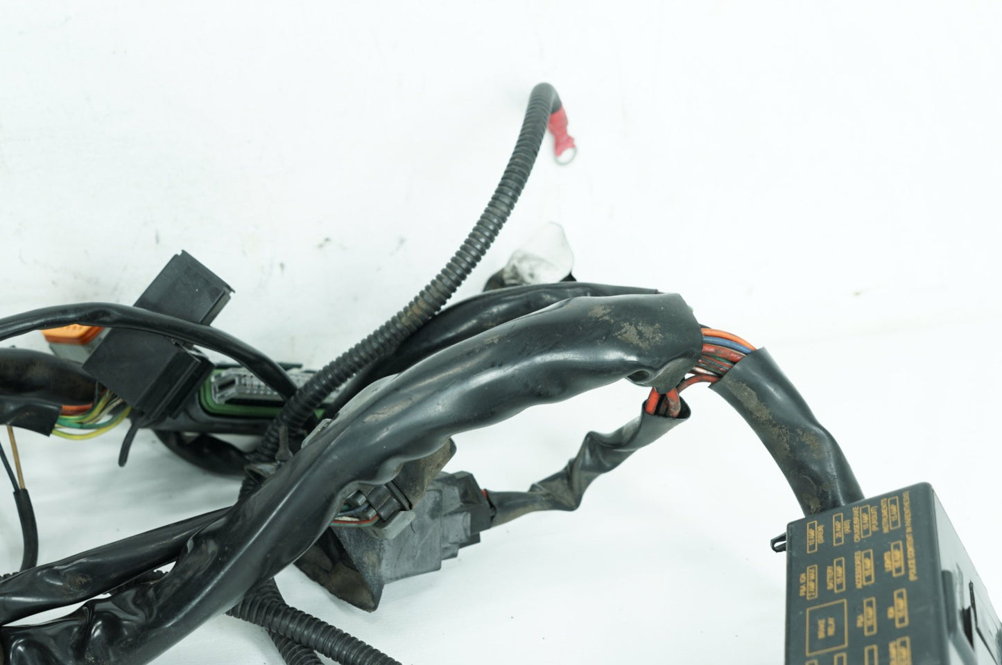 1999 - 2006 Harley-Davidson Touring Road King Main Wire Wiring Harness Loom 70245-06