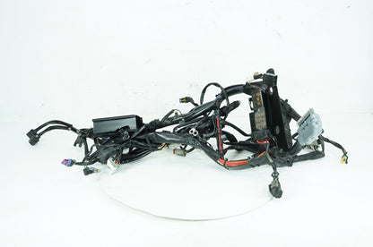 2007 - 2012 Harley-Davidson Softail Deluxe Main Wire Wiring Harness Loom 70431-08A