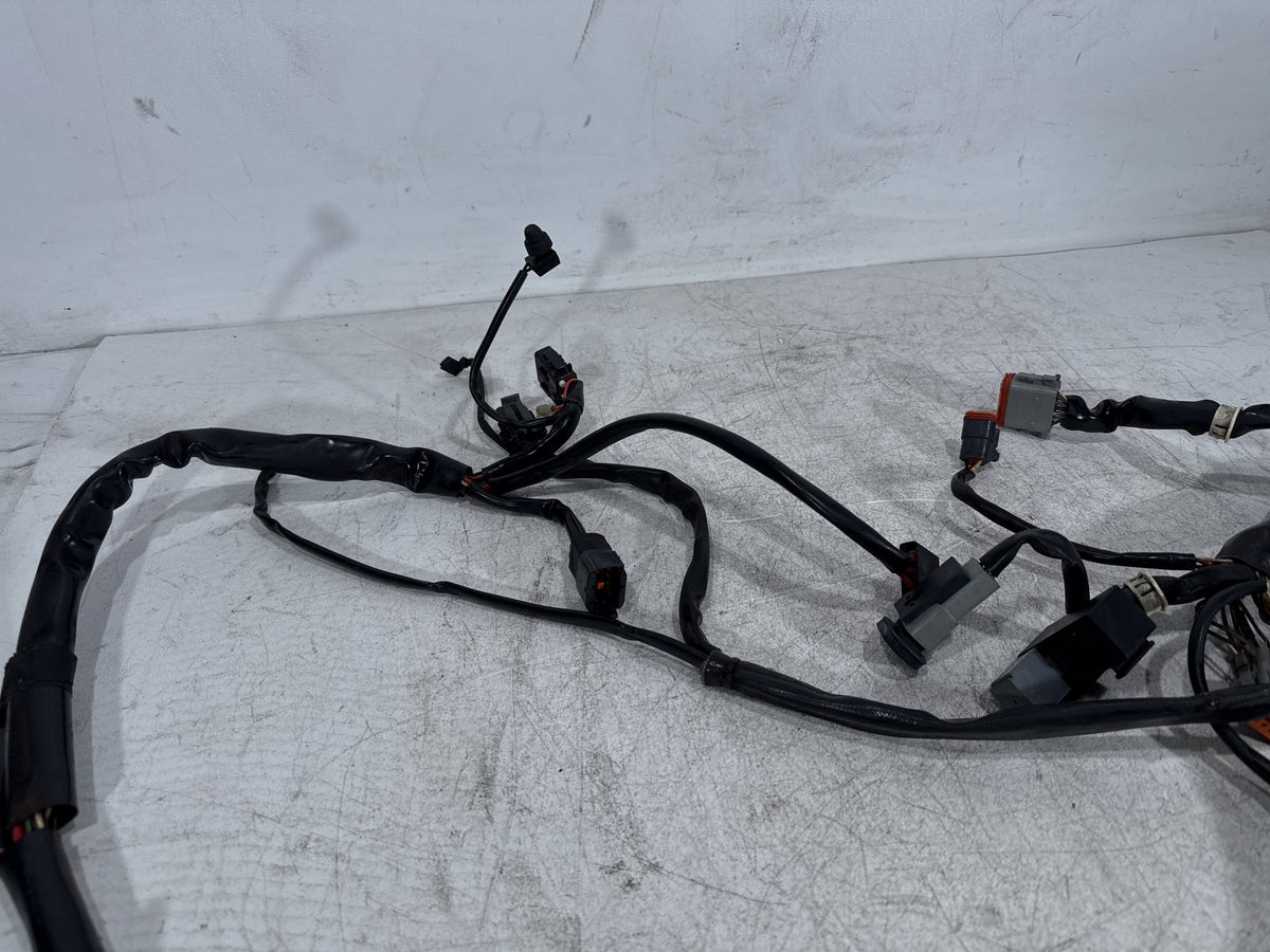 2002 Harley Dyna Wide Glide FXDWG OEM Main Wire Wiring Harness Loom CARB