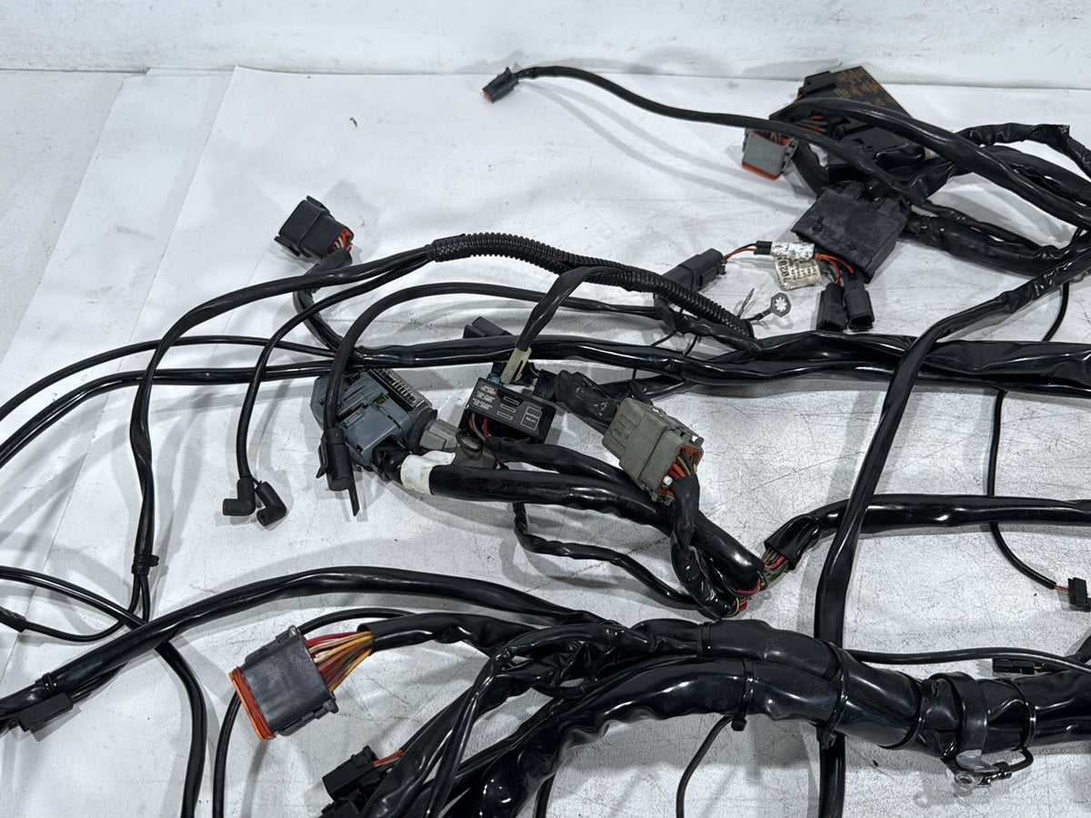 2003 Harley Electra Glide Touring Ultra OEM Main Wire Wiring Harness Loom