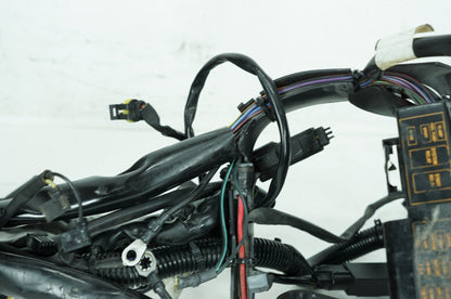 2007 - 2012 Harley-Davidson Softail Deluxe Main Wire Wiring Harness Loom 70431-08A